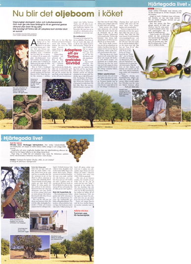 Allas_webbsidan Allas_webbsidan