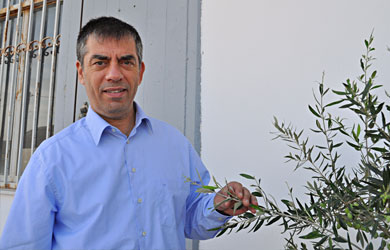 Vangelis_oliv Vangelis_oliv