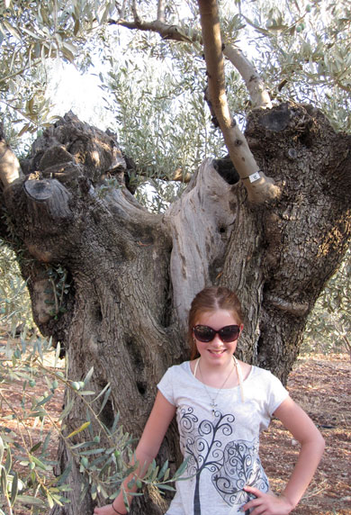 Visitors10 Visitors10