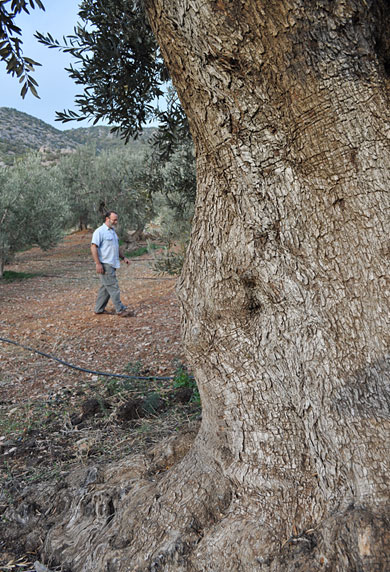 Visitors11 Visitors11