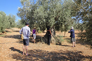 Visitors12 Visitors12