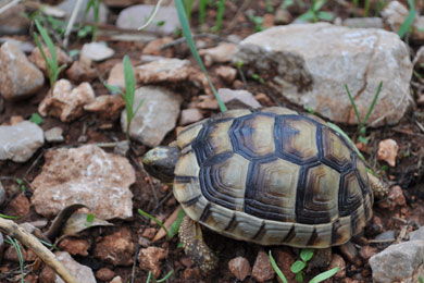 Visitors13 Visitors13