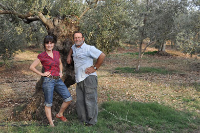 Visitors15 Visitors15