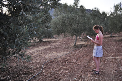 Visitors16 Visitors16