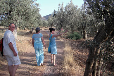 Visitors17 Visitors17