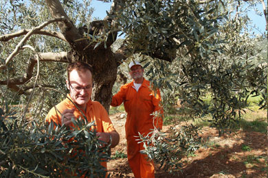 Visitors18 Visitors18