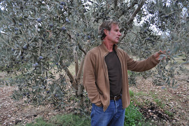 Visitors20 Visitors20