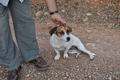 Visitors22 Visitors22