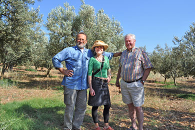 Visitors23 Visitors23