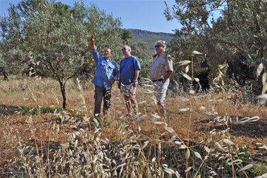 Visitors24 Visitors24